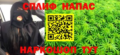 мяу мяу мука Краснознаменск