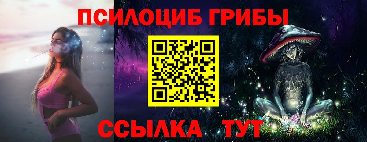 Красноперекопск  Псилоцибиновые грибы Psilocybine cubensis  Вход с VPN 